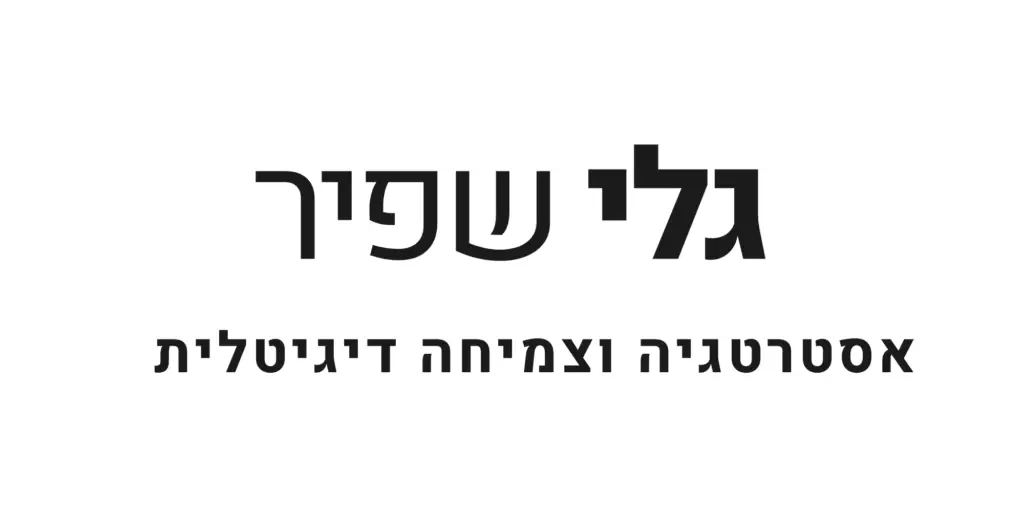 גלי שפיר - אסטרטגיה וצמיחה דיגיטלית